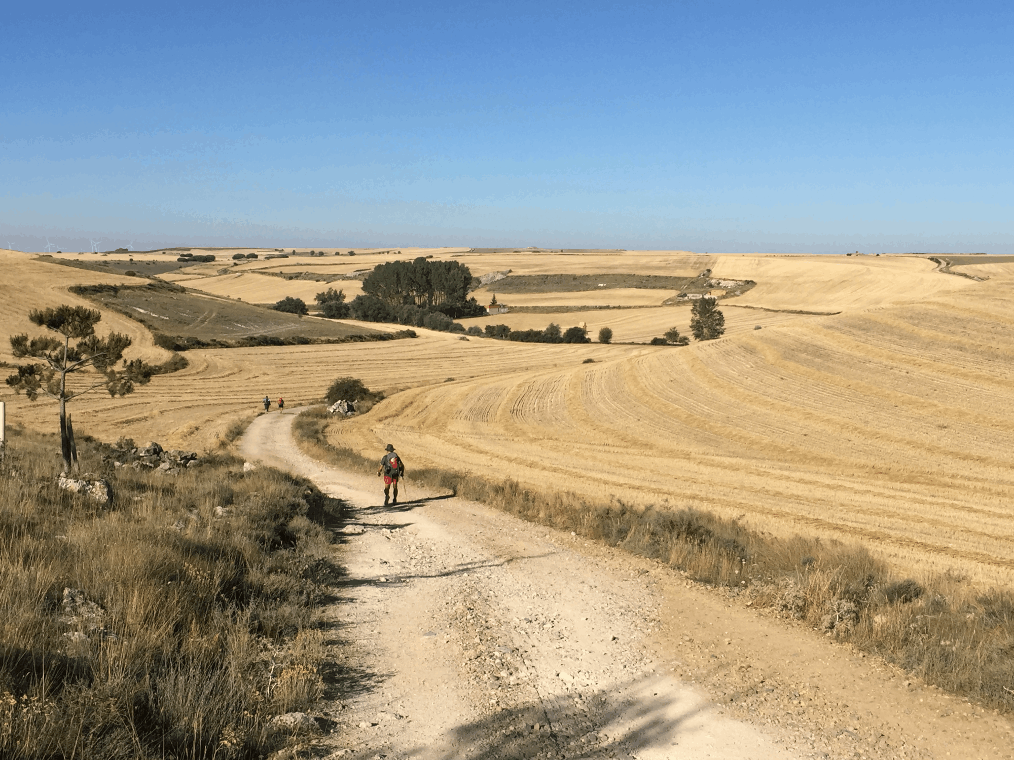 Von Jugenheim nach Compostela